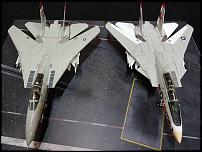 Calibre Wings F-14A Wolfpack-20170520_195713.jpg