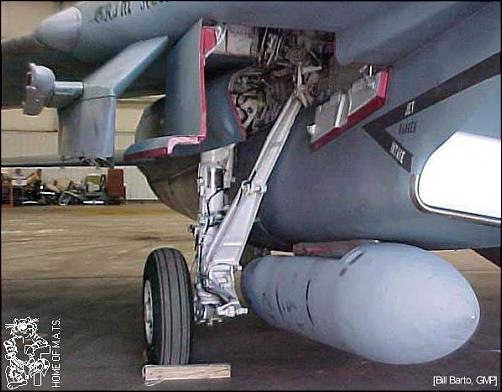 Calibre Wings VF-142 Ghostriders F-14A Tomcat-f14-detail-gearmain-03l.jpg