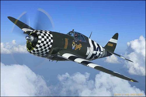 Wishes for Hobby Master - but this time in 1:48 !-usaf-p-47-27.jpg