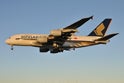 SQA380-842's Avatar